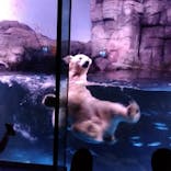 横浜・八景島シーパラダイスに投稿された画像（2022/10/15）