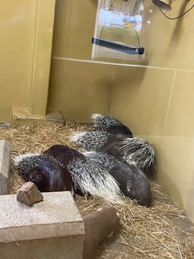 東武動物公園に投稿された画像（2022/10/15）