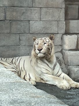 東武動物公園に投稿された画像（2022/10/15）