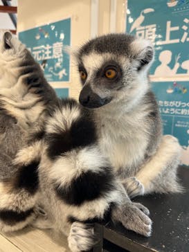 アニタッチみなとみらいに投稿された画像（2022/10/15）