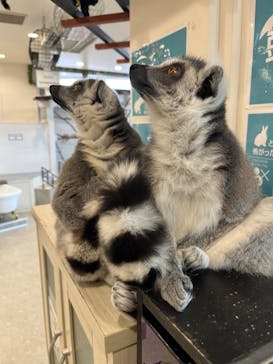 アニタッチみなとみらいに投稿された画像（2022/10/15）