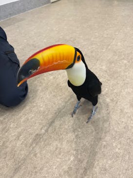 アニタッチみなとみらいに投稿された画像（2022/10/15）