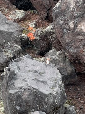 鬼押出し園に投稿された画像（2022/10/15）