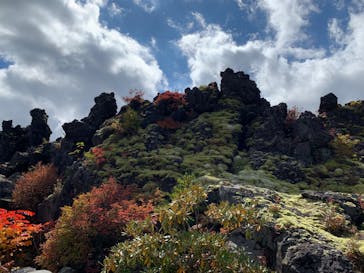 鬼押出し園に投稿された画像（2022/10/15）