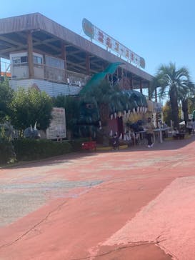 グリーンランドに投稿された画像（2022/10/15）