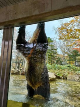 サホロリゾート　ベア･マウンテンに投稿された画像（2022/10/15）