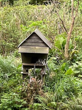 ネオパークオキナワに投稿された画像（2022/10/15）