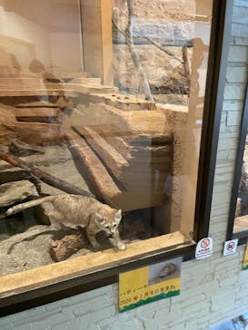 長崎バイオパークに投稿された画像（2022/10/15）