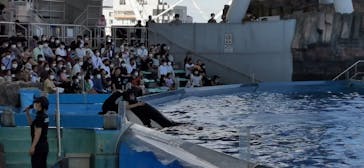 名古屋港水族館に投稿された画像（2022/10/15）