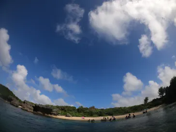 武藤潜水に投稿された画像（2022/10/15）