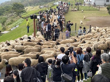 マザー牧場に投稿された画像（2022/10/15）