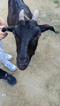 ワールド牧場に投稿された画像（2022/10/15）