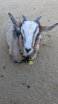 ワールド牧場に投稿された画像（2022/10/15）