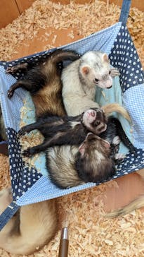 ワールド牧場に投稿された画像（2022/10/15）