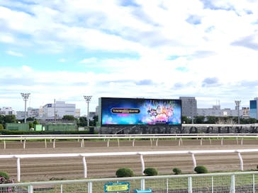 東京メガイルミに投稿された画像（2022/10/15）