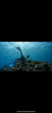 DIVING-SHOP SUNSに投稿された画像（2022/10/15）