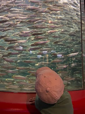 株式会社Gに投稿された画像（2022/10/15）