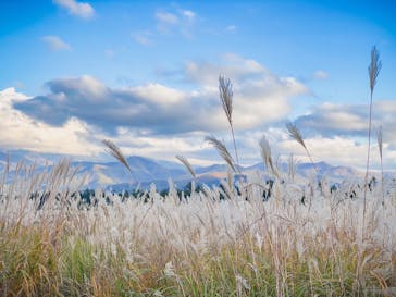 乗旅YATSUGATAKEに投稿された画像（2022/10/15）