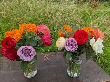 いばらきフラワーパークに投稿された画像（2022/10/15）