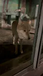 天王寺動物園に投稿された画像（2022/10/15）