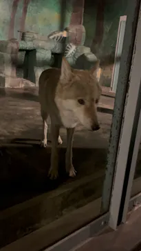 天王寺動物園に投稿された画像（2022/10/15）