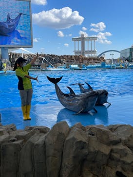 名古屋港水族館に投稿された画像（2022/10/15）