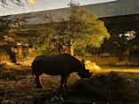 天王寺動物園に投稿された画像（2022/10/15）