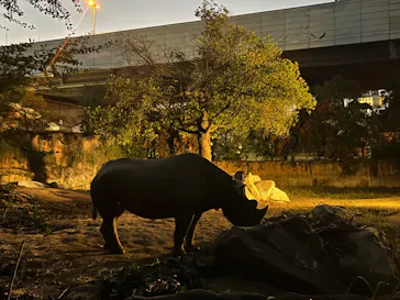 天王寺動物園に投稿された画像（2022/10/15）