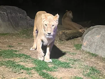 天王寺動物園に投稿された画像（2022/10/15）