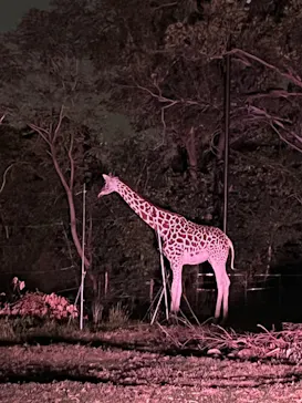 天王寺動物園に投稿された画像（2022/10/15）
