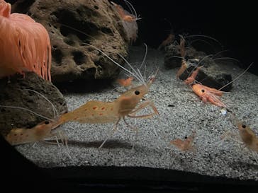 環境水族館アクアマリンふくしまに投稿された画像（2022/10/15）