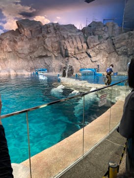名古屋港水族館に投稿された画像（2022/10/15）