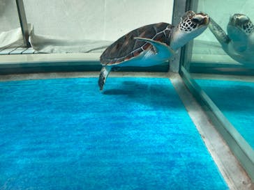 名古屋港水族館に投稿された画像（2022/10/15）