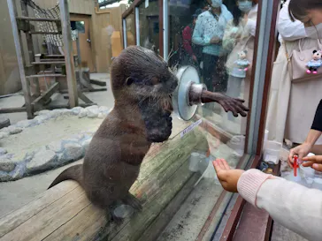 横浜・八景島シーパラダイスに投稿された画像（2022/10/15）