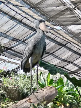 神戸どうぶつ王国に投稿された画像（2022/10/15）