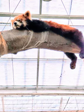 神戸どうぶつ王国に投稿された画像（2022/10/15）