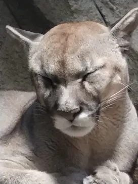 神戸どうぶつ王国に投稿された画像（2022/10/15）