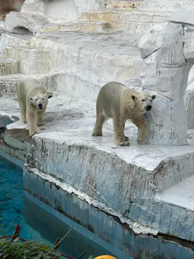 天王寺動物園に投稿された画像（2022/10/15）