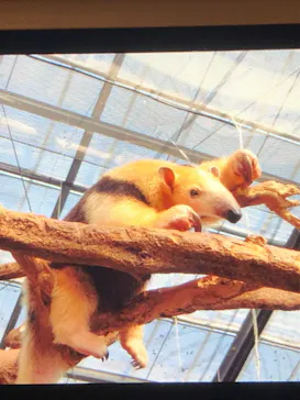 神戸どうぶつ王国に投稿された画像（2022/10/15）