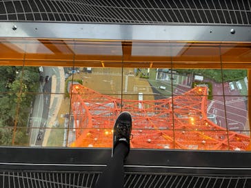 東京タワーに投稿された画像（2022/10/15）