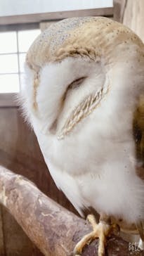 富士花鳥園に投稿された画像（2022/10/15）