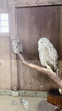 富士花鳥園に投稿された画像（2022/10/15）