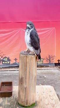 富士花鳥園に投稿された画像（2022/10/15）