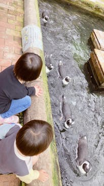 富士花鳥園に投稿された画像（2022/10/15）