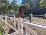 よこはま動物園ズーラシアに投稿された画像（2022/9/25）