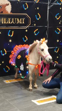 東京メガイルミに投稿された画像（2022/10/15）