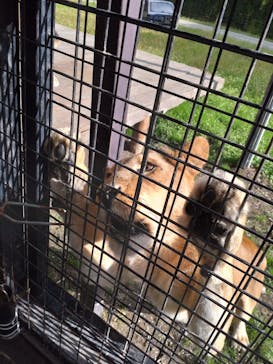 那須サファリパークに投稿された画像（2022/10/15）