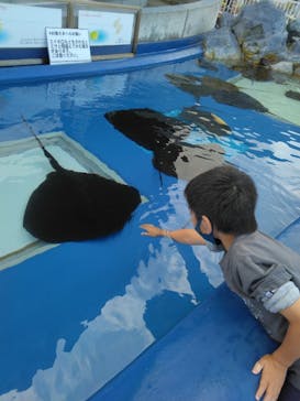大分マリーンパレス水族館 「うみたまご」に投稿された画像（2022/10/15）