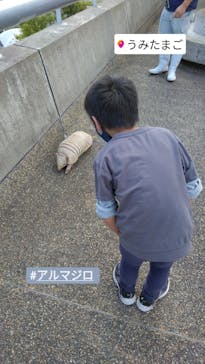 大分マリーンパレス水族館 「うみたまご」に投稿された画像（2022/10/15）