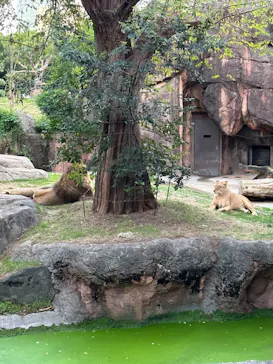 天王寺動物園に投稿された画像（2022/10/16）